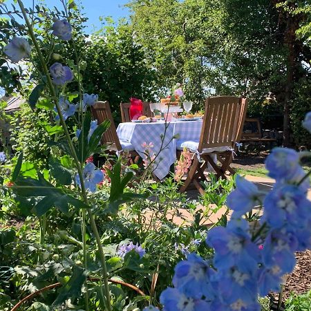 Atte Combe Cottage Acomb  エクステリア 写真